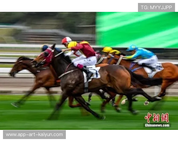 荷兰马术协会推出马术运动员心理辅导项目，提升竞技表现。，荷兰马拉松比赛